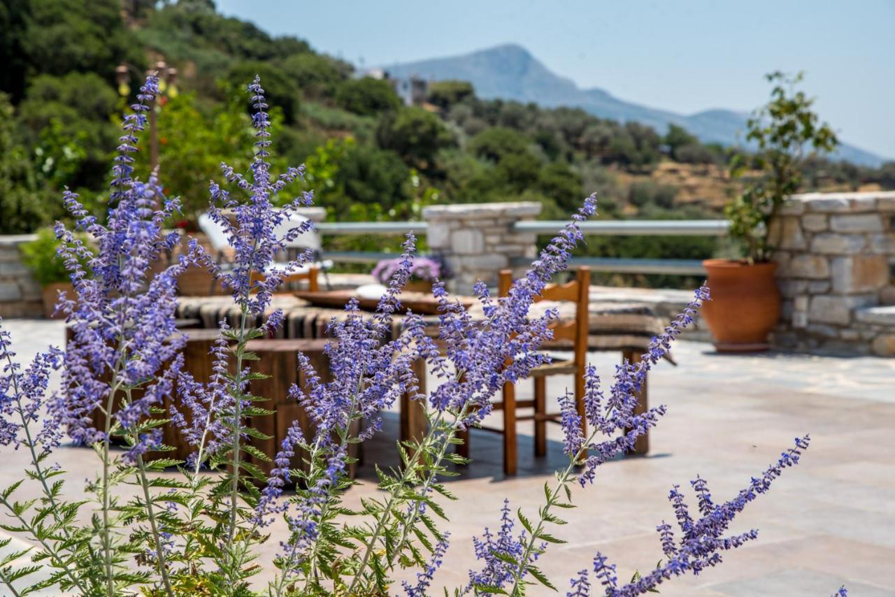 Khalkíon Elaiolithos - Luxury Villa Suites - Adults Only מראה חיצוני תמונה